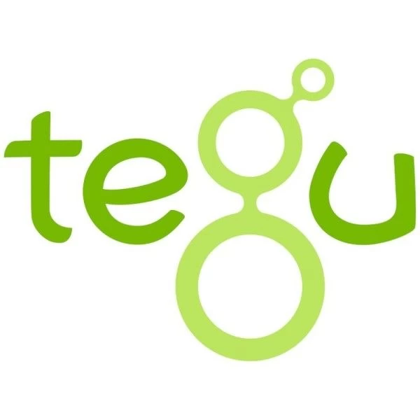 Jouet En Bois Train De Formes Magnétique Tegu® Big Top - Jouets En Bois – Image 7