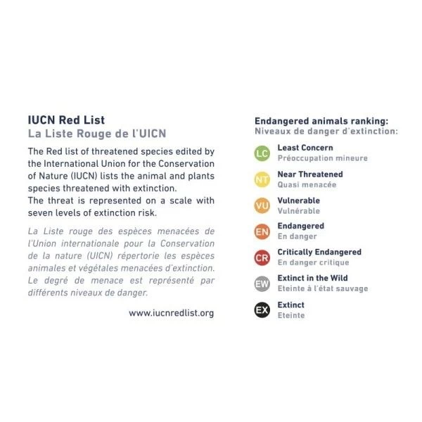 Set De Plage Seau, Râteau, Tamis, Pelle Vert D'eau Tortue En Algoblend (Algue) Coq En Pâte® - BioPlastic – Image 2